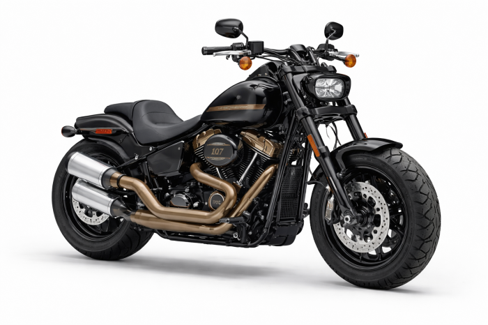 Harley-davidson Softail Fat Bob