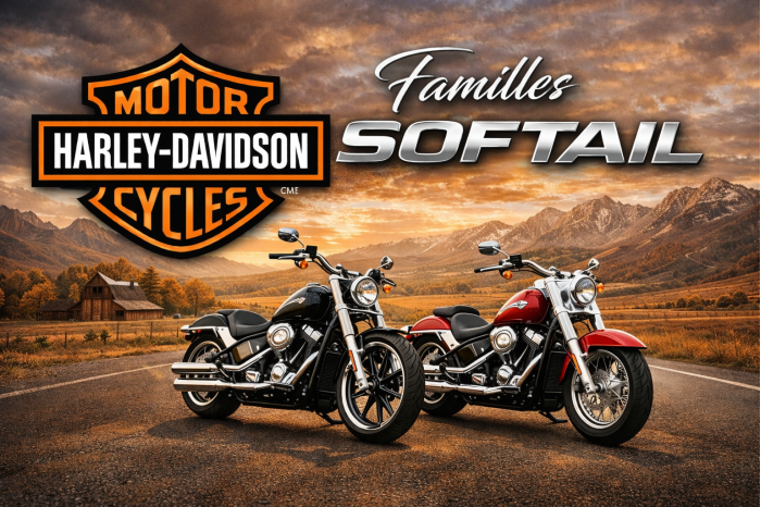 Harley-davidson Familles Softail