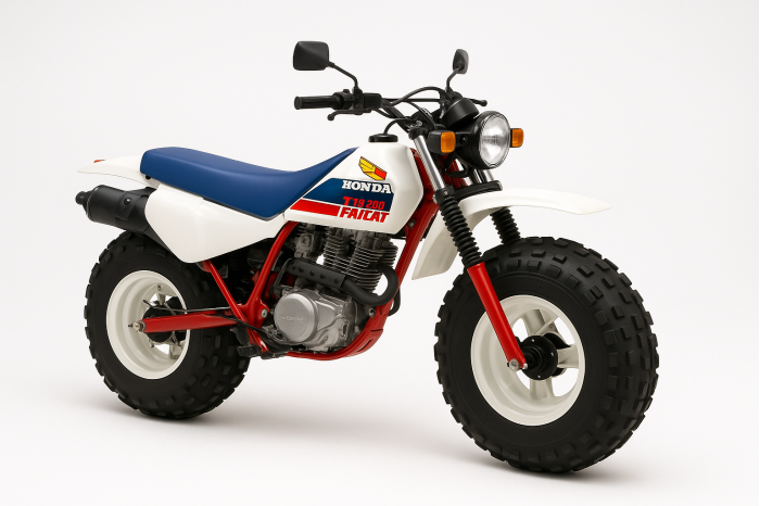Honda TR 200 Fatcat