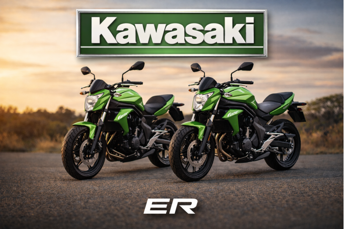 Kawasaki Series ER