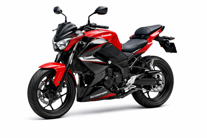 Kawasaki ER 250 Z250 Scorpion