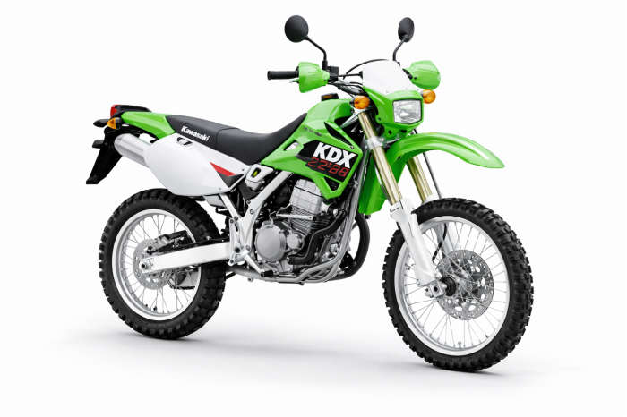 Kawasaki KDX 220R