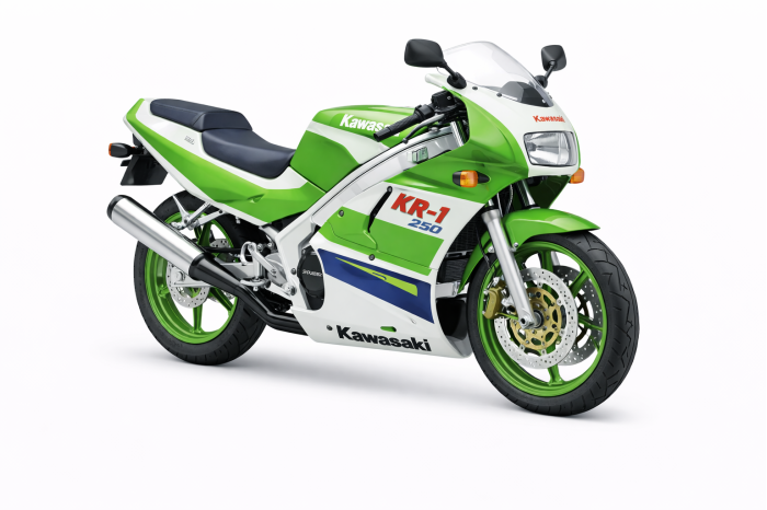 Kawasaki KR-1 250