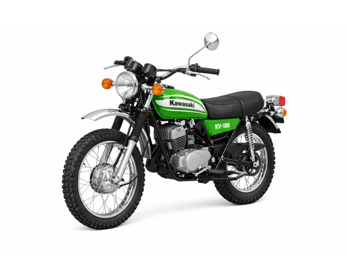 Kawasaki KV 100