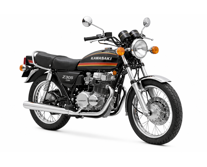 Kawasaki Z305 CSR