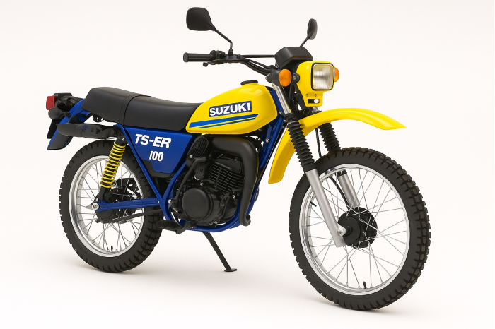 Suzuki TS-ER 100