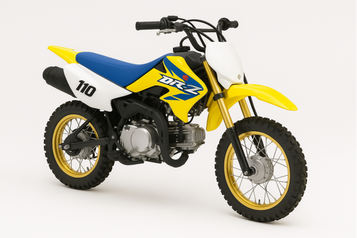 Suzuki DR-Z 110