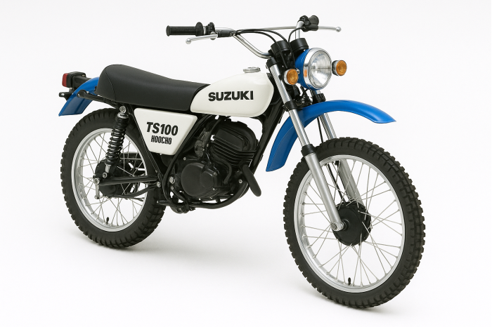 Suzuki TS 100