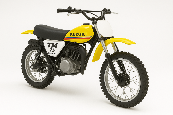 Suzuki TM 75