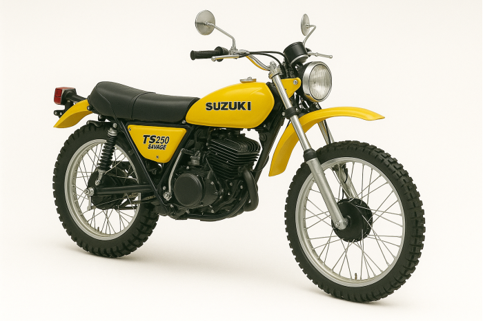 Suzuki TS 250