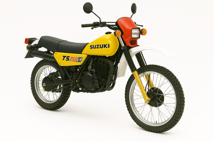 Suzuki TS-ER 250