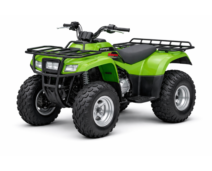 Kawasaki KLF 250 Bayou