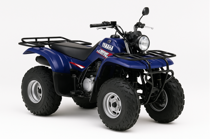 Yamaha YFM Bear Tracker 250