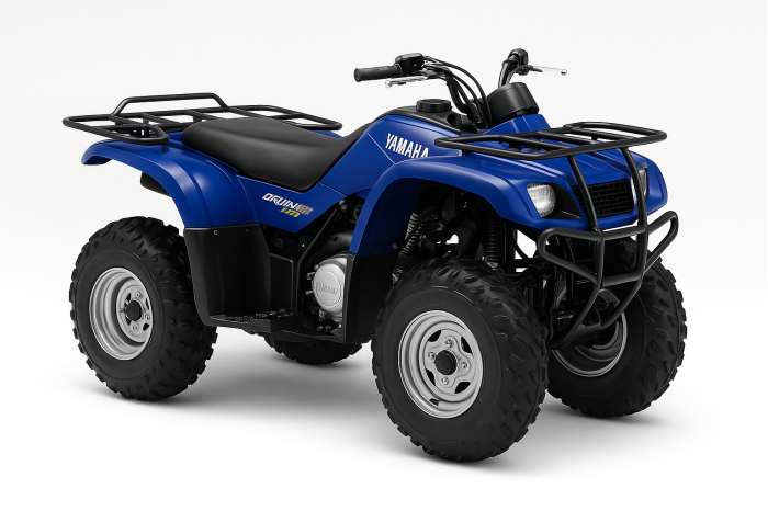 Yamaha YFM Bruin 250