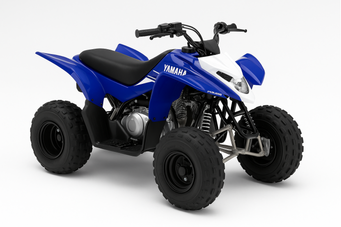Yamaha YFM Raptor 50