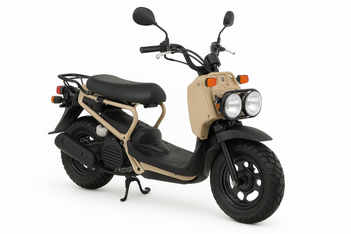 Honda Ruckus 50