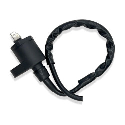 Bobines d'allumage pour Piaggio PX 125  de 2000 à 2010