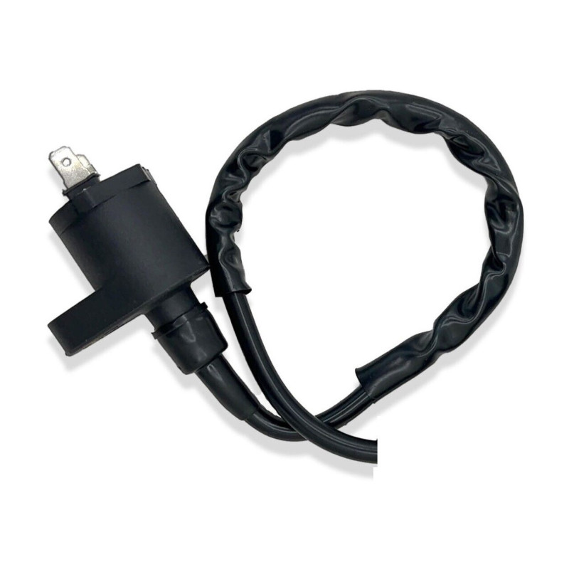 Bobines d'allumage pour Piaggio S 50 euro de 2000 à 2010