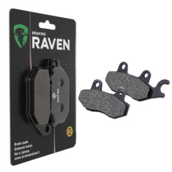 Plaquettes de frein Arrière Pour Triumph Speed Triple 750  de 1994 à 1996