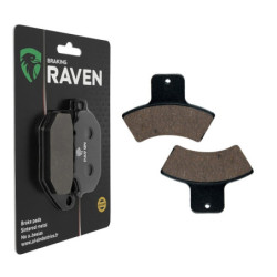 Plaquettes de frein Arrière Pour Polaris Xplorer 250  de 2000 à 2002