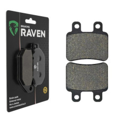 Plaquettes de frein Avant Pour Beta RR 50 Standard de 2009 à Nc