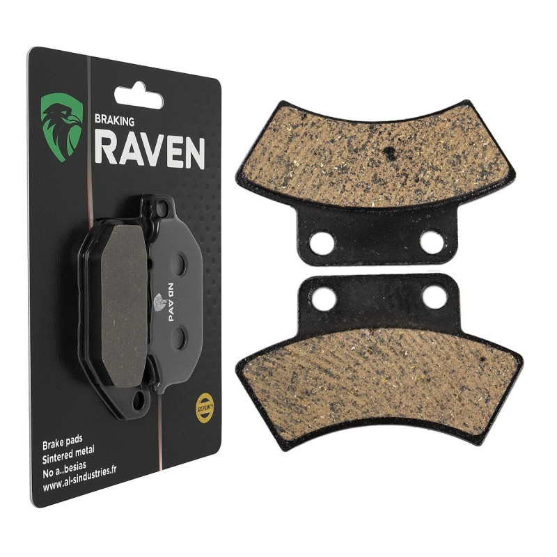 Plaquettes de frein Arrière Pour Quadzilla QZ 500 E/ES de 2010 à Nc