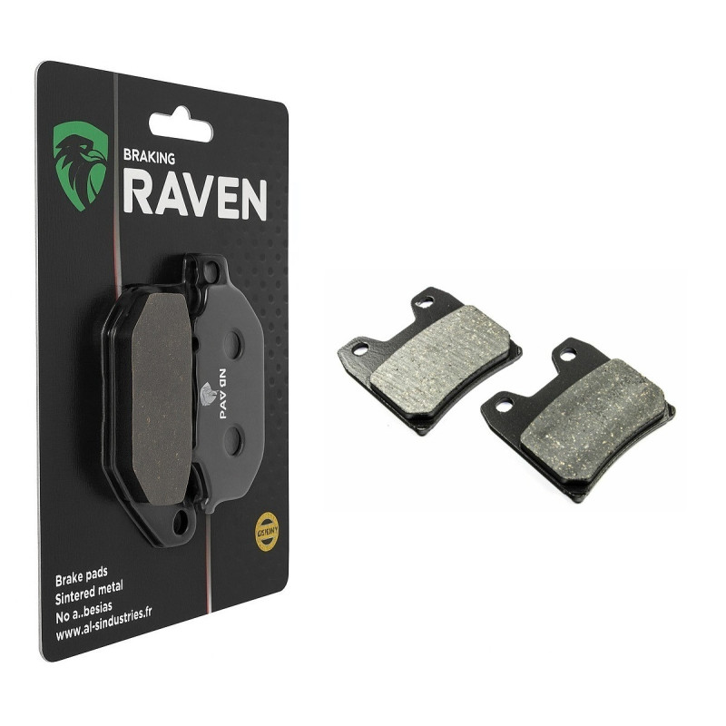 Plaquettes de frein Arrière Pour Yamaha FZS 1000 Fazer de 2001 à 2005