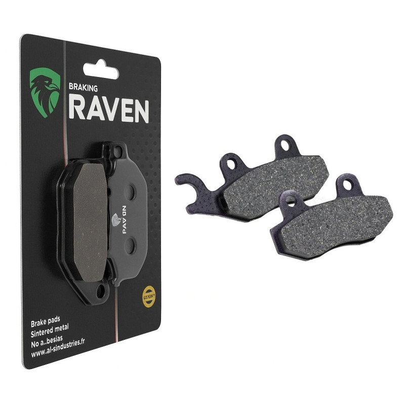 Plaquettes de frein Arrière Pour Triumph Speed Triple 955  de 1999 à 2004