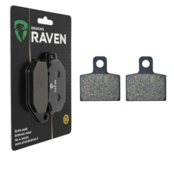 Plaquettes de frein Arrière Pour Beta Trial Evo 300 (2T) MY20 Inc GB and SS de 2020 à Nc