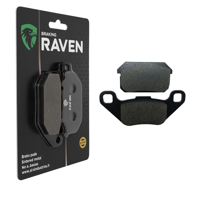 Plaquettes de frein Arrière Pour Adly Interceptor 300  de 2008 à Nc