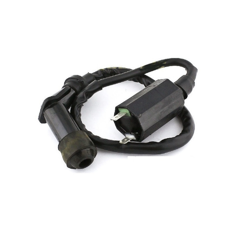 Bobines d'allumage pour Suzuki LT-Z 250 QuadSport  de 2003 à 2010 - Image 2