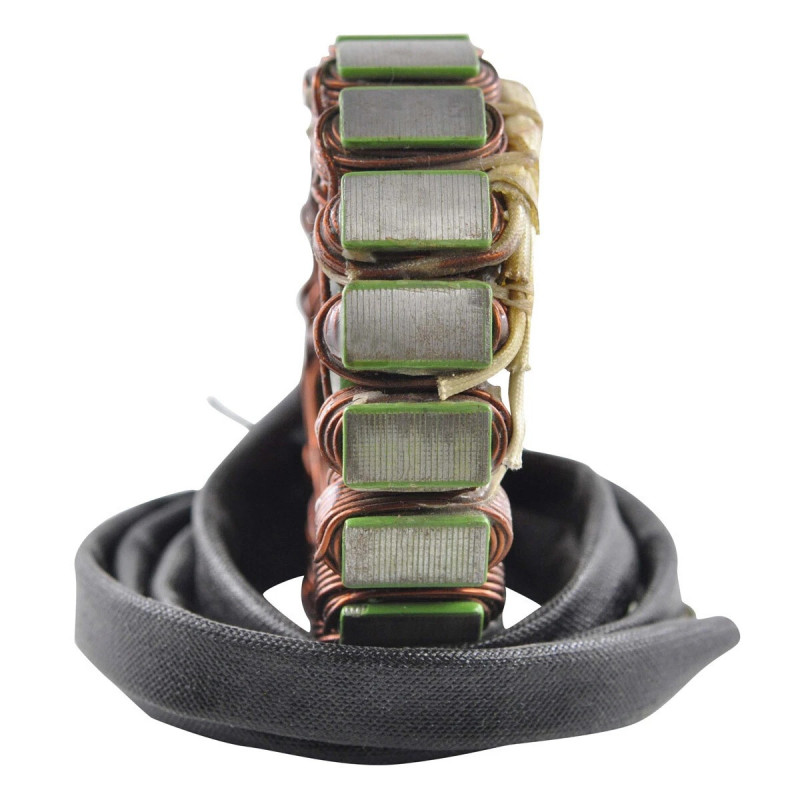 Stator pour Kawasaki KEF 300 Lakota  de 1995 à 2003 - Image 2