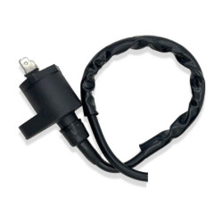 Bobines d'allumage pour Honda TRX 200 FourTrax  de 1986 à 1996