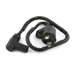 Bobines d'allumage pour Honda TRX 250 FourTrax  de 1985 à 2013