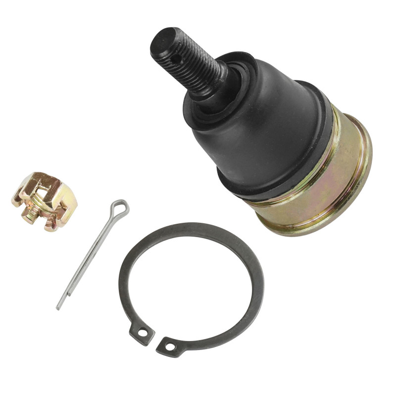 Rotule de triangle pour Honda TRX 250 FourTrax  de 1997 à 2017