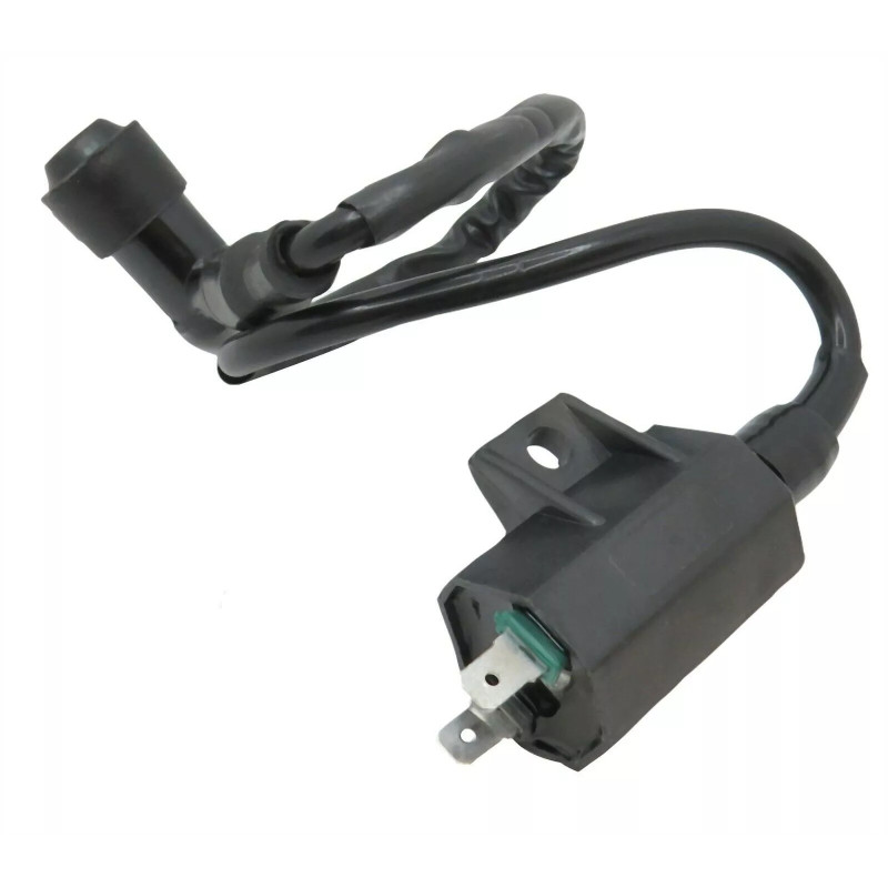 Bobines d'allumage pour Kawasaki KVF 360 Prairie  de 2003 à 2013 - Image 2