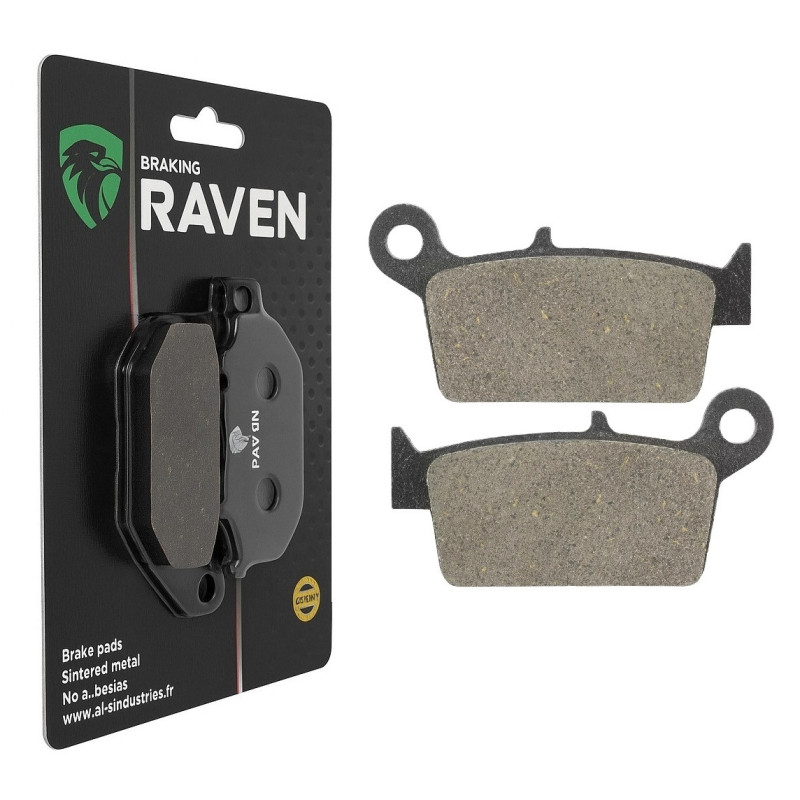 Plaquettes de frein Arrière Pour Kawasaki KLX 250  de 2009 à 2020