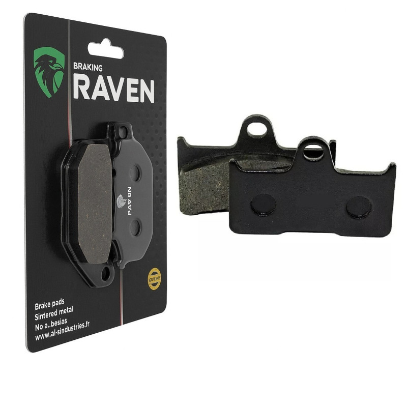 Plaquettes de frein Arrière Pour Quadzilla Z6  de 2010 à 2013