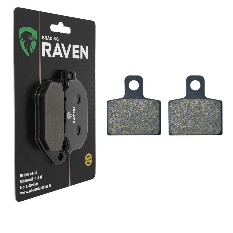 Plaquettes de frein Arrière Pour Beta Trial Evo 300 (2T) MY20 Inc GB and SS de 2020 à Nc