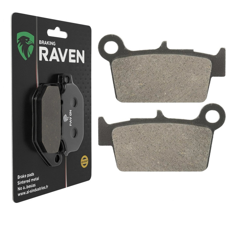 Plaquettes de frein Arrière Pour Beta RR 390 Enduro de 2015 à 2021