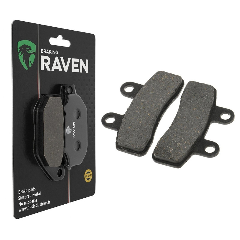 Plaquettes de frein Arrière Pour Generic Trigger 50 SM X mini de 2008 à 2009