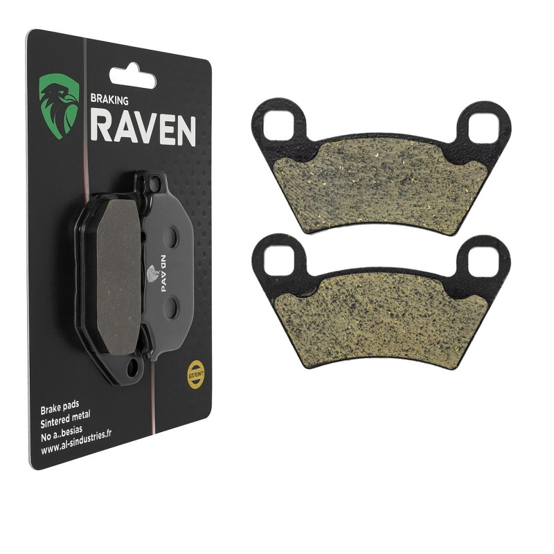 Plaquettes de frein Arrière Pour Polaris Ranger 570 EPS HDPS EU inter de 2014 à 2021