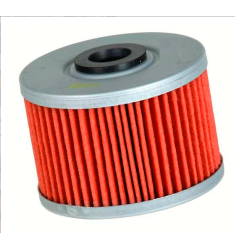 Filtre à Huile pour Kawasaki KLX 110  de 2002 à 2015