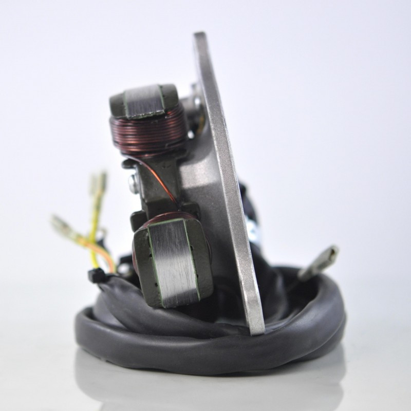 Stator pour Polaris 300 2x4 4x4 de 1994 à 1995