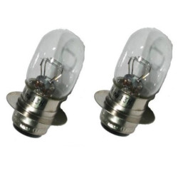 2 Ampoules phare pour Yamaha YFM Raptor 660  de 2001 à 2005