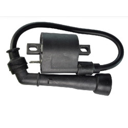 Bobines d'allumage pour Arctic-cat 700 efi de 2006 à 2008