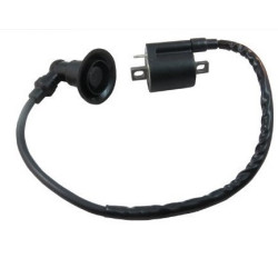 Bobines d'allumage pour Polaris Scrambler 90  de 2001 à 2003