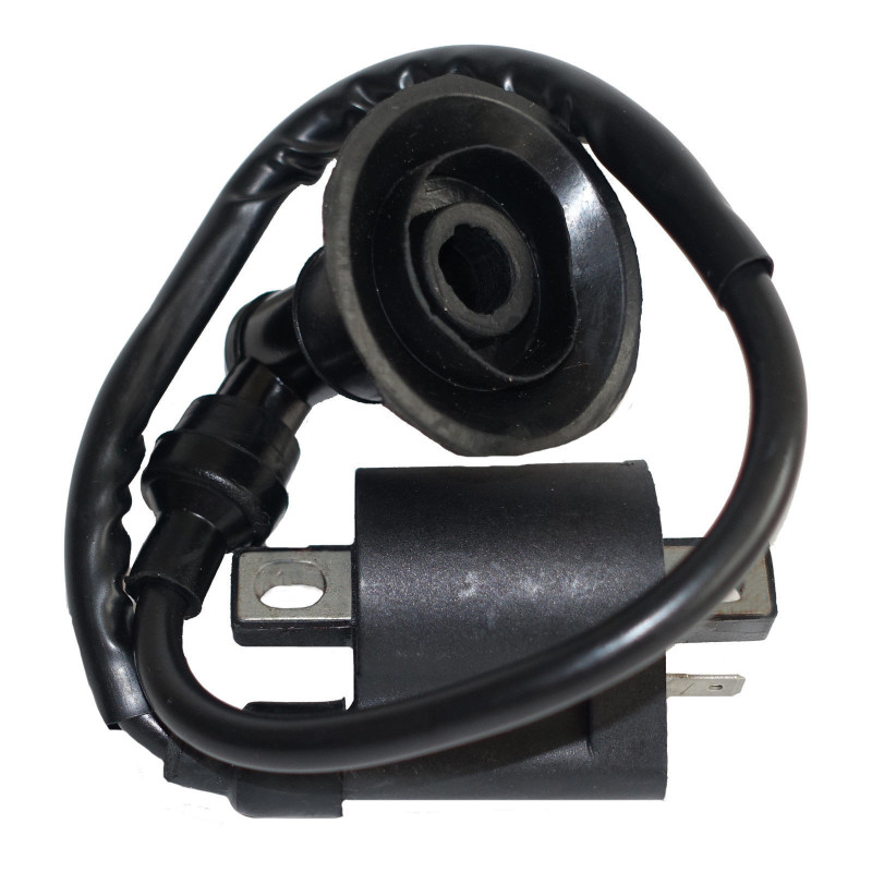 Bobines d'allumage pour Polaris Sportsman 400  de 1996 à 2002 - Image 2