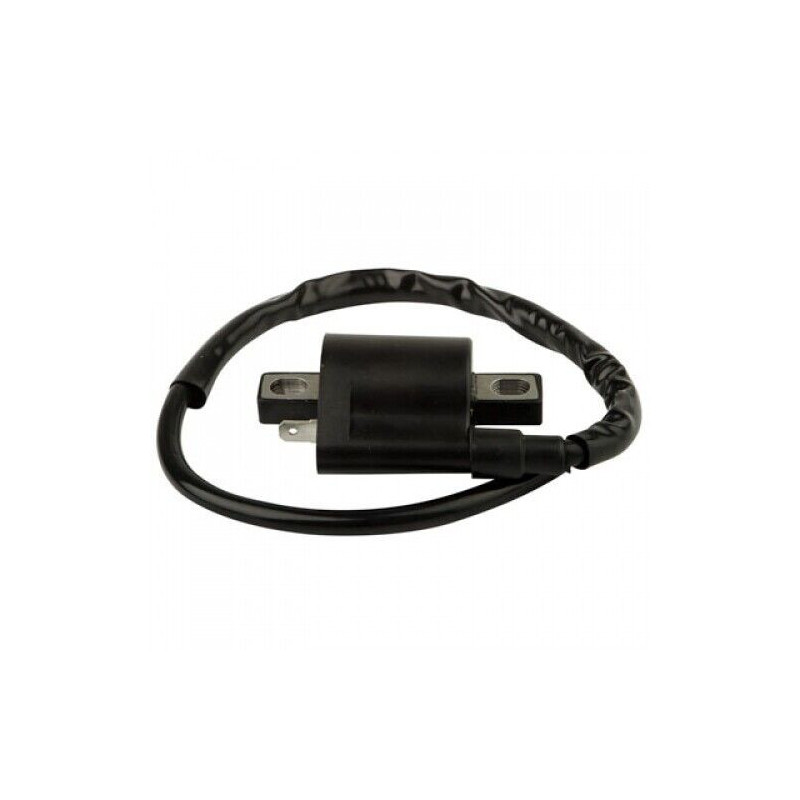 Bobines d'allumage nue pour Yamaha Tri-moto 200 ytm de 1983 à 1985