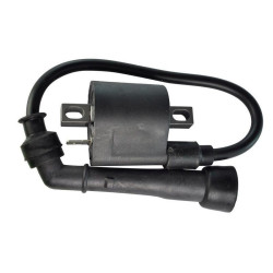 Bobines d'allumage pour Yamaha YFM Grizzly 660  de 2002 à 2008